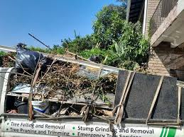 Demolition Debris Removal in Chandler, TX